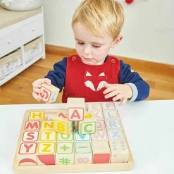 ABC Wooden Blocks