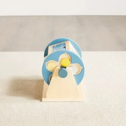 Activity Roller