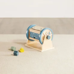Activity Roller