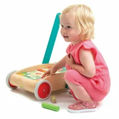 Baby Block Walker