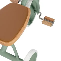Banwood Trike - Forest
