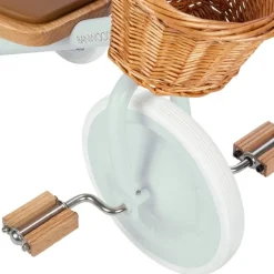 Banwood Trike- Pale Mint