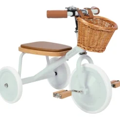 Banwood Trike- Pale Mint