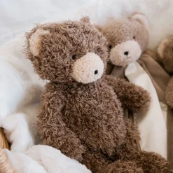 Cubby Bear Book Bundle