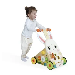 Farm Multi-Activity Baby Walker