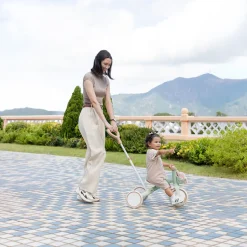 3in1 ECO Learning Trike - Pistachio