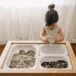 Land, Sand and Water Activity Learning Table