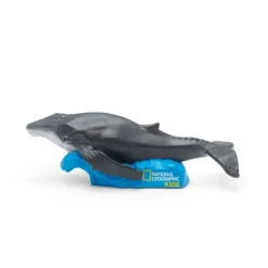 National Geographic Kids: Whale Tonie