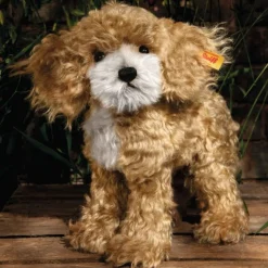 Ricky Cockapoo
