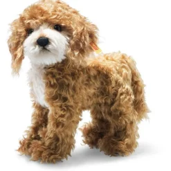 Ricky Cockapoo