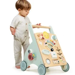 Sunshine Baby Activity Walker