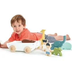The Friend Ship Wooden Playset